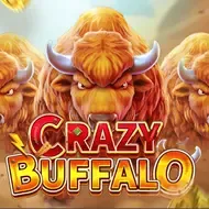 CRAZY BUFFALO icon